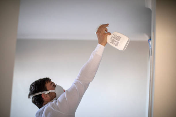 Mold Removal Process in West Carrollton, OH