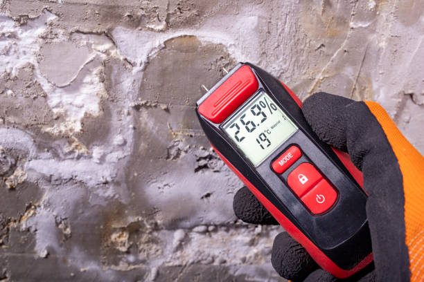 Best Crawl Space Mold Removal  in West Carrollton, OH